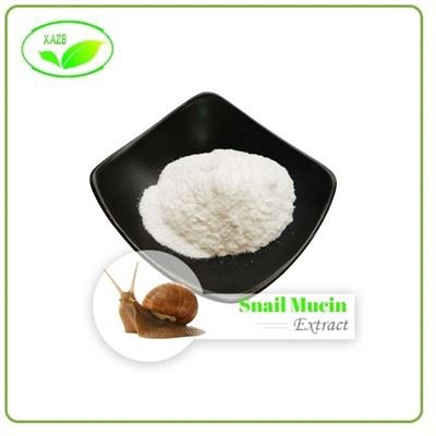 Snail Mucin Extract